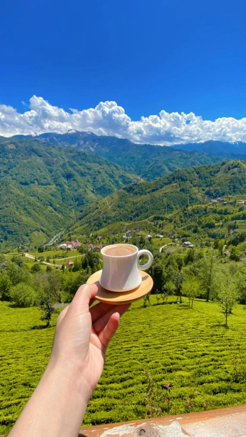 Pera Bungalov Restoran Yemek Servisi - Karadeniz Mutfagi