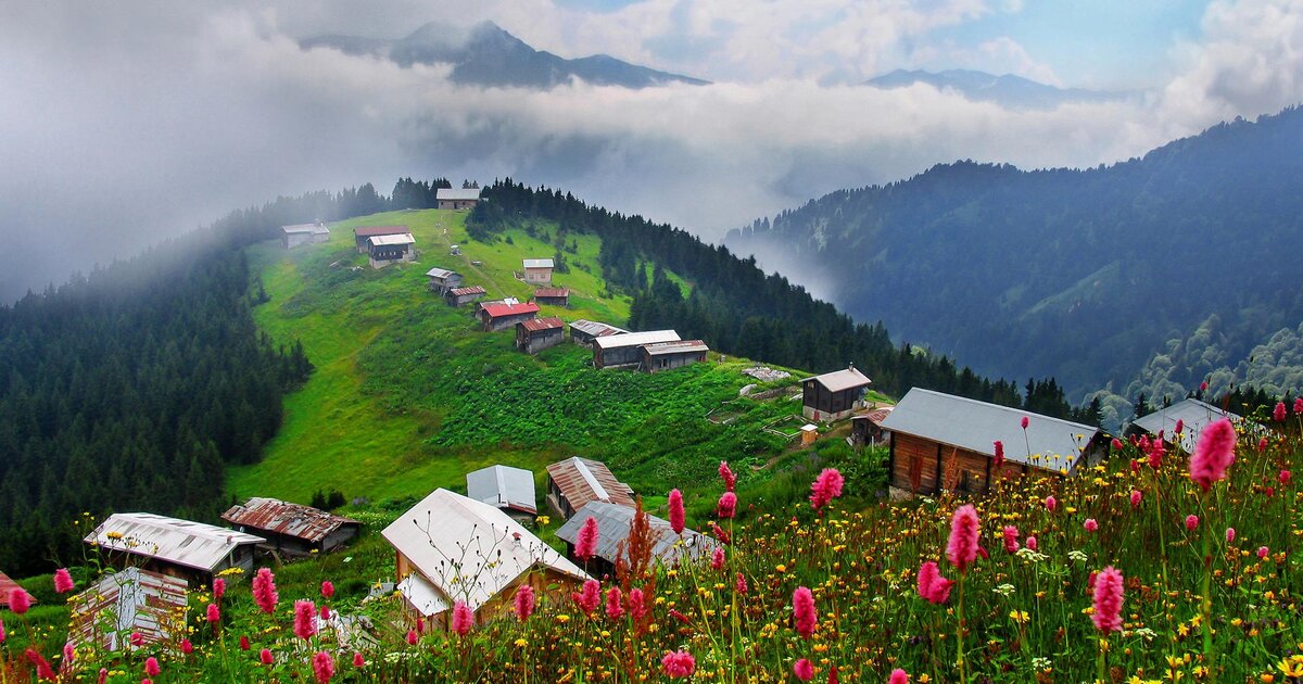 Rize bungalov evler - doğa içinde ahşap bungalov