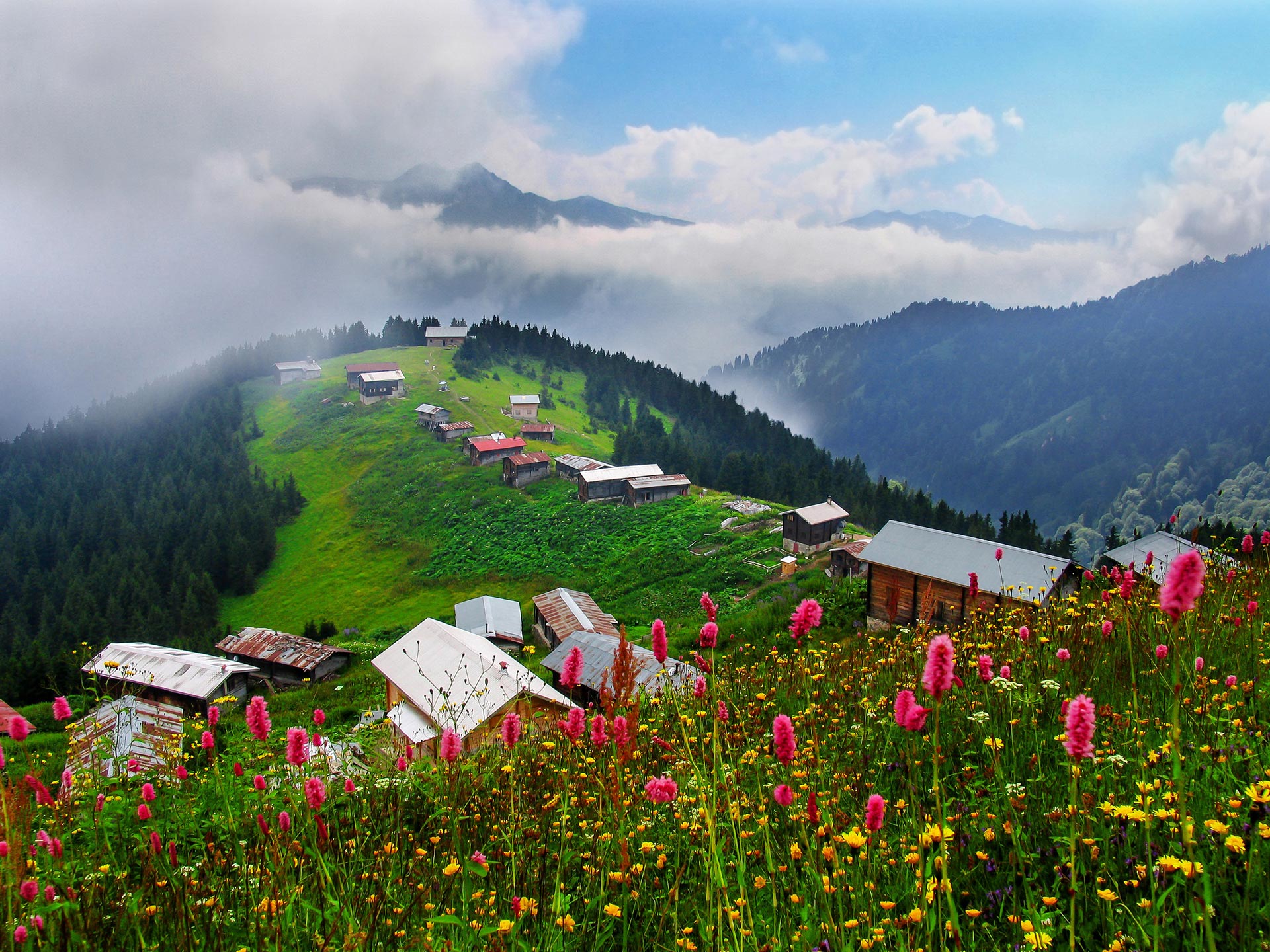 Rize bungalov evler - doğa içinde ahşap bungalov