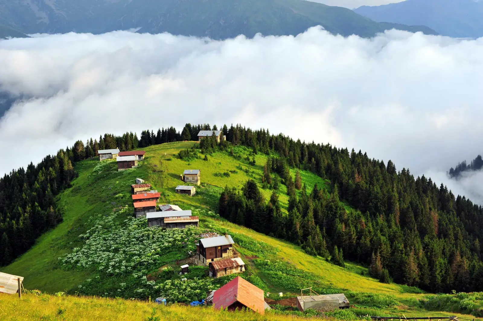 Çamlıhemşin bungalow cabins in nature